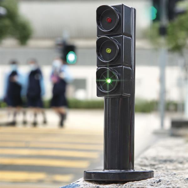 Светофоры, дорожные знаки для детей в Пензе.